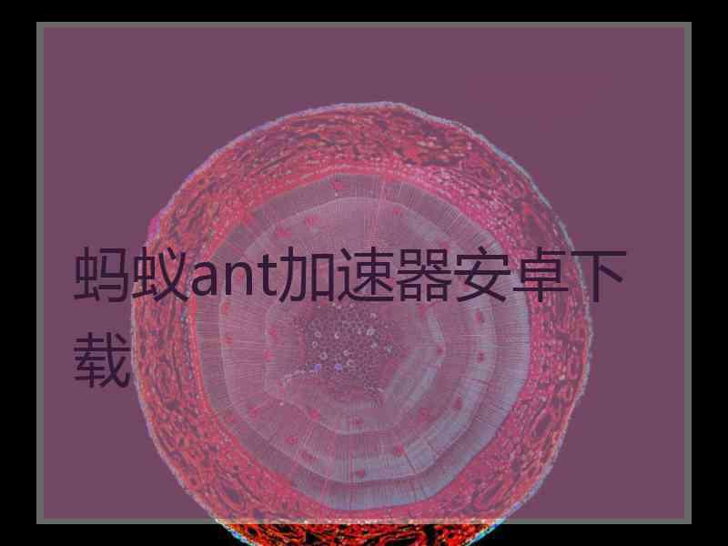 蚂蚁ant加速器安卓下载