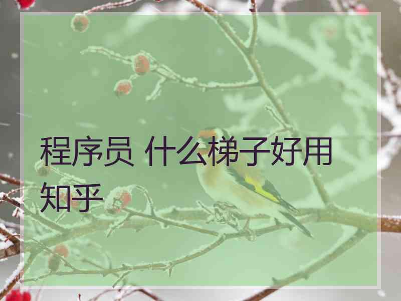 程序员 什么梯子好用 知乎
