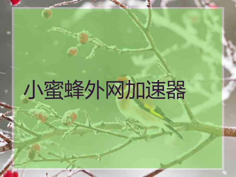 小蜜蜂外网加速器