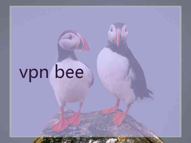 vpn bee