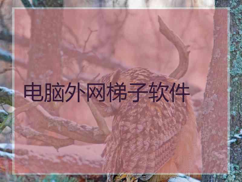 电脑外网梯子软件