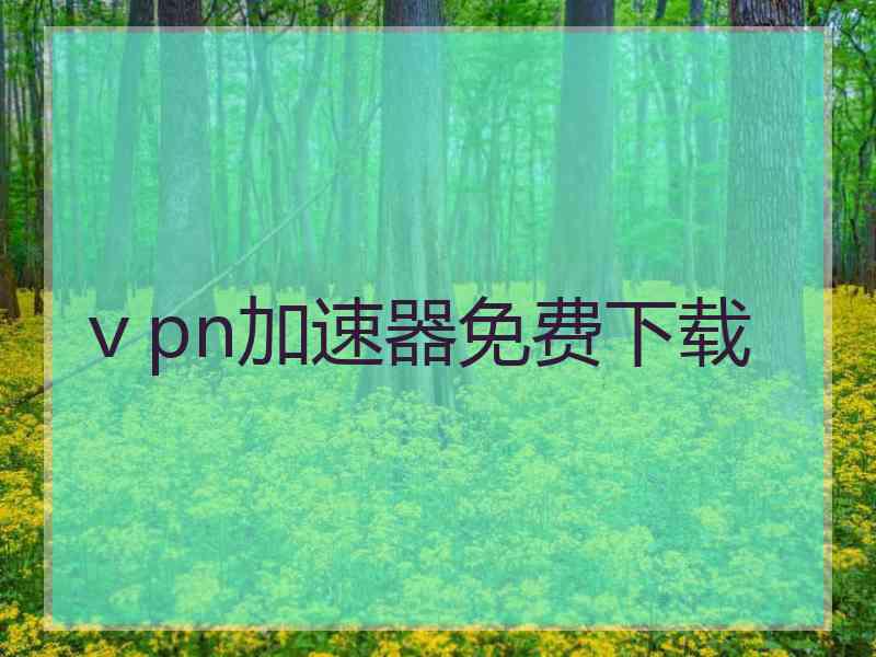 ⅴpn加速器免费下载