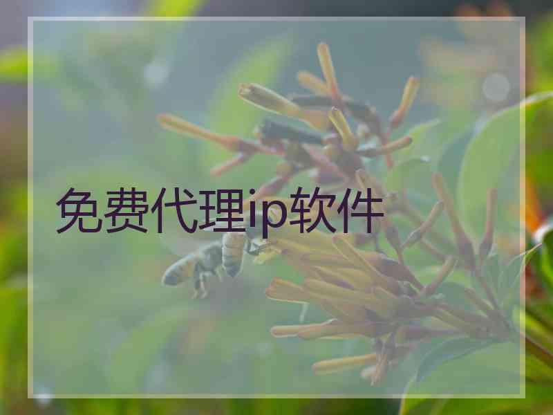 免费代理ip软件