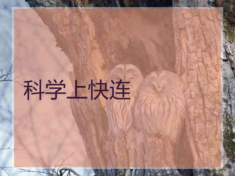 科学上快连