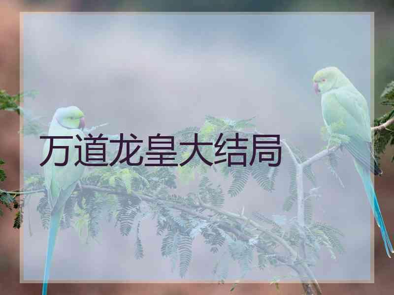 万道龙皇大结局