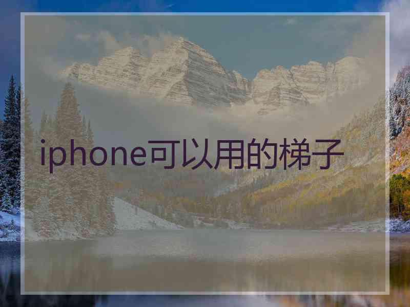 iphone可以用的梯子