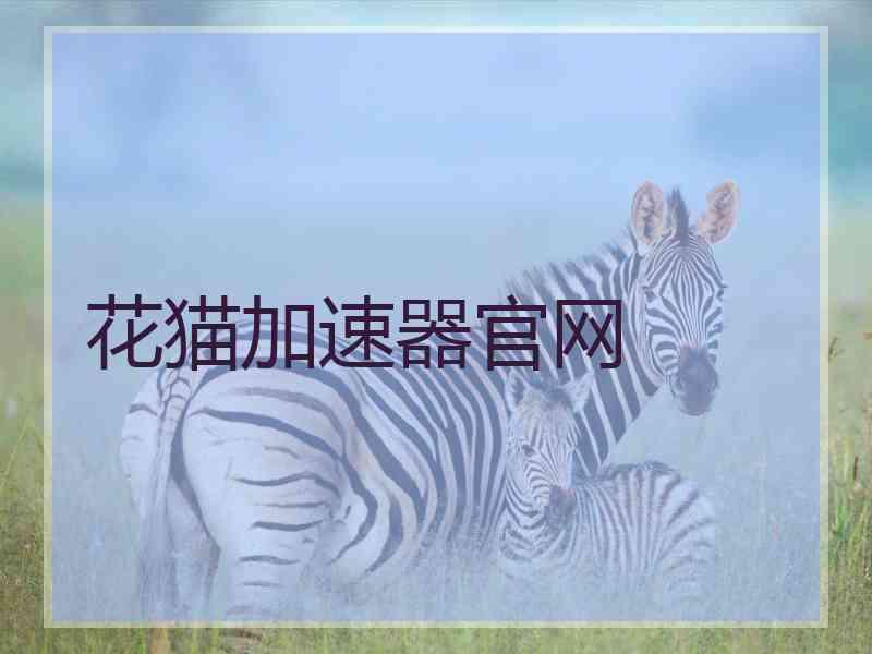 花猫加速器官网