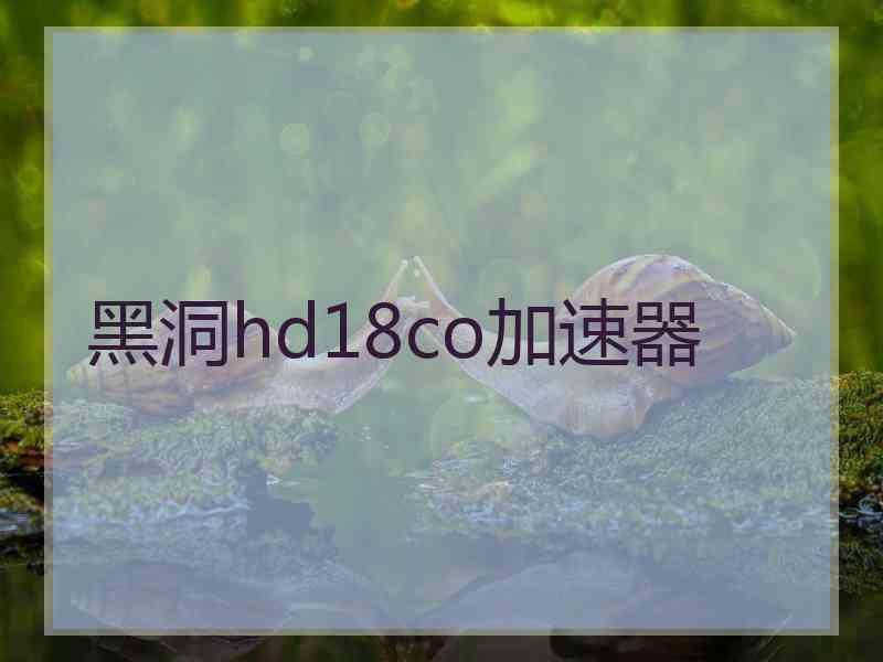 黑洞hd18co加速器