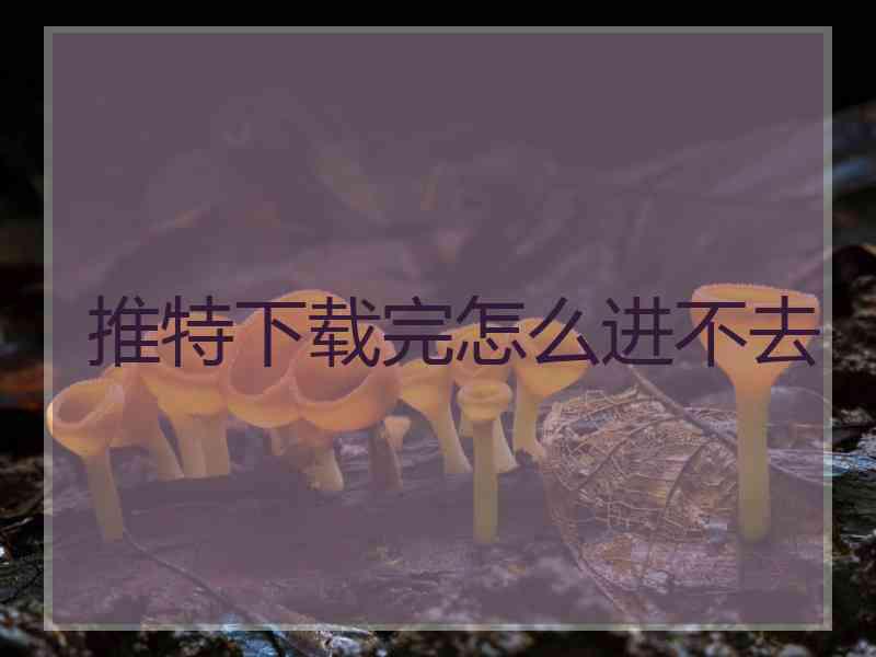推特下载完怎么进不去