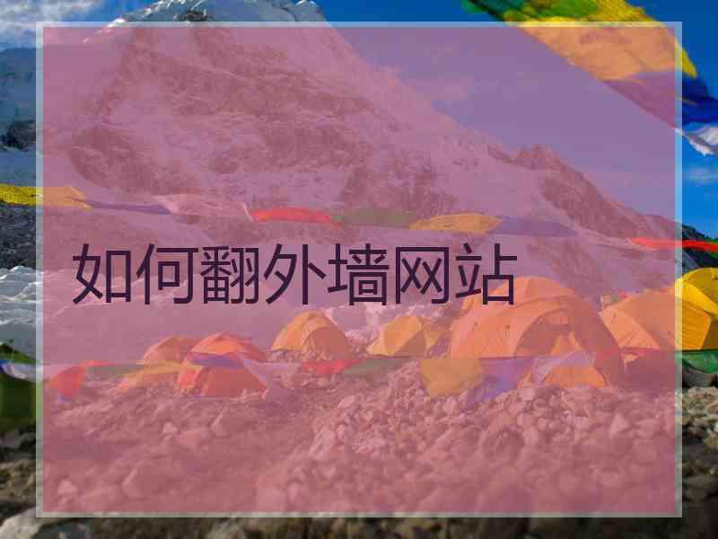 如何翻外墙网站