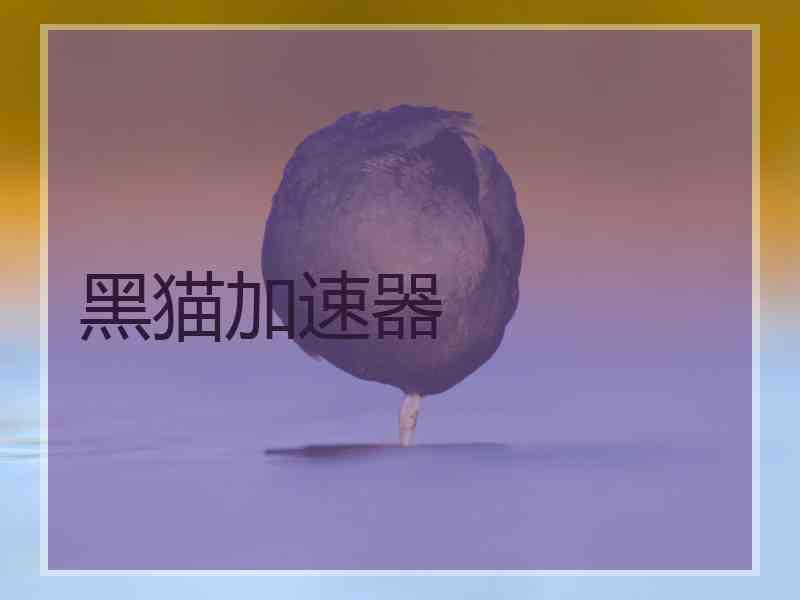 黑猫加速器