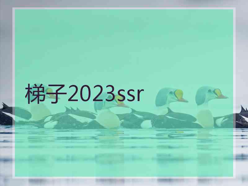 梯子2023ssr