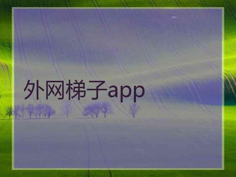 外网梯子app