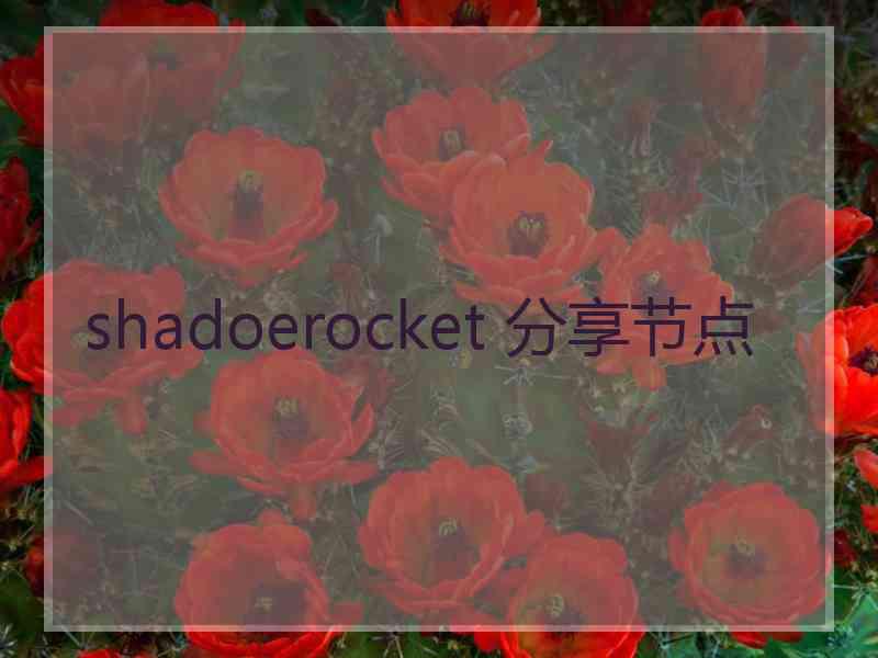 shadoerocket 分享节点