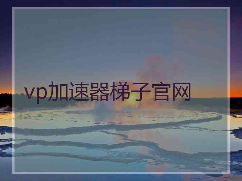vp加速器梯子官网