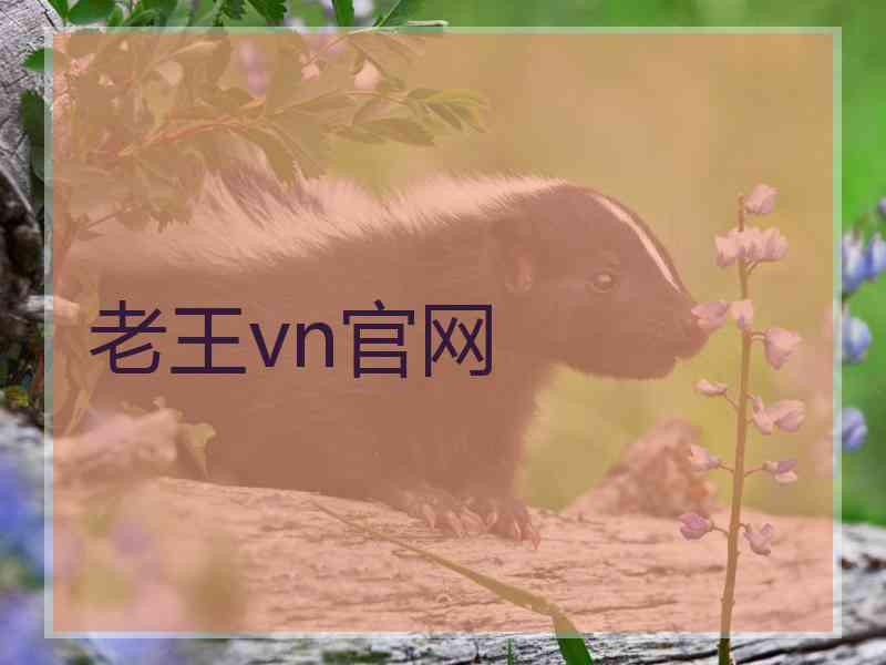 老王vn官网