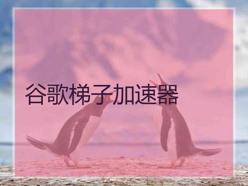 谷歌梯子加速器