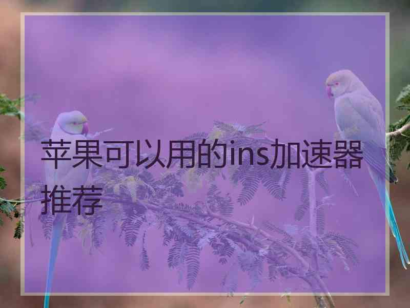 苹果可以用的ins加速器推荐