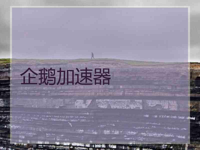 企鹅加速器