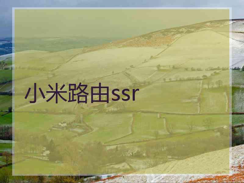 小米路由ssr