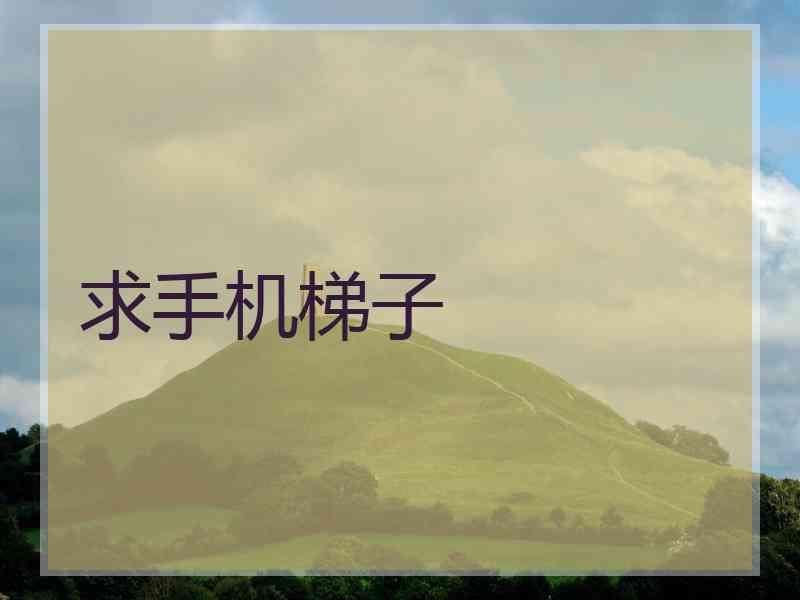 求手机梯子