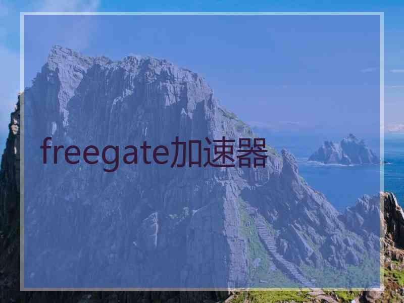 freegate加速器