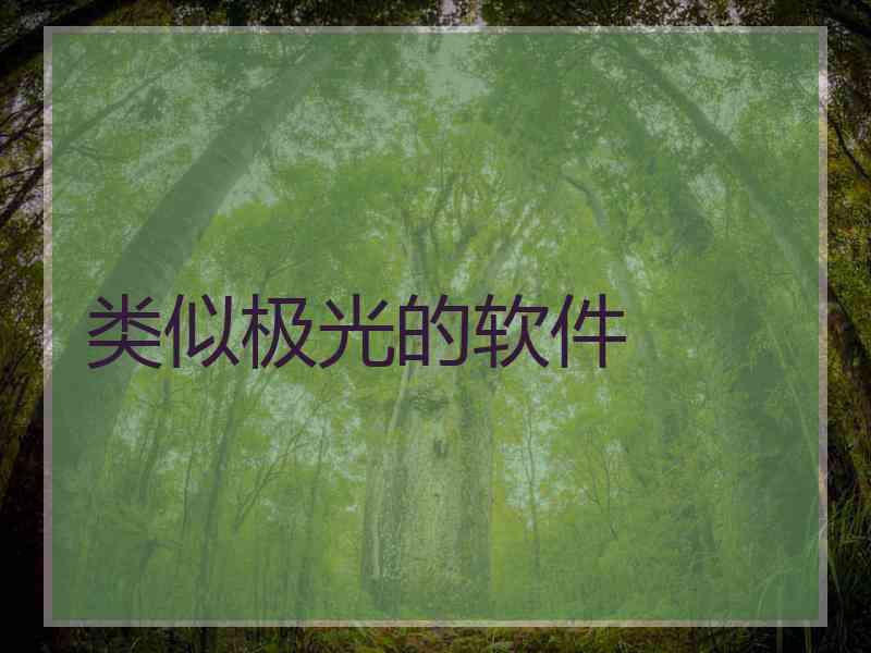 类似极光的软件