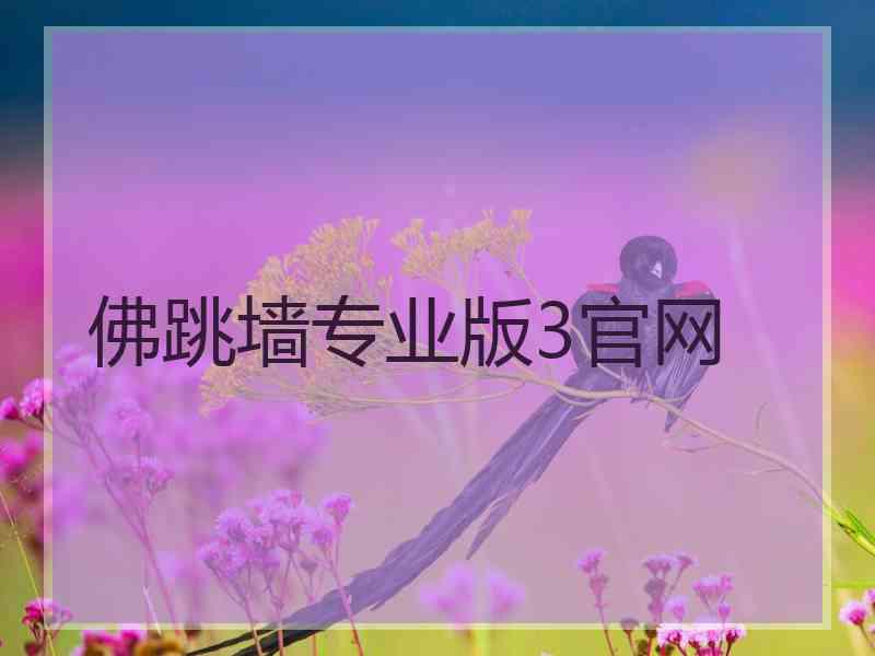 佛跳墙专业版3官网