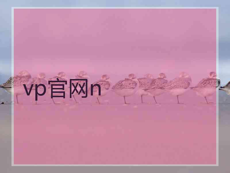 vp官网n