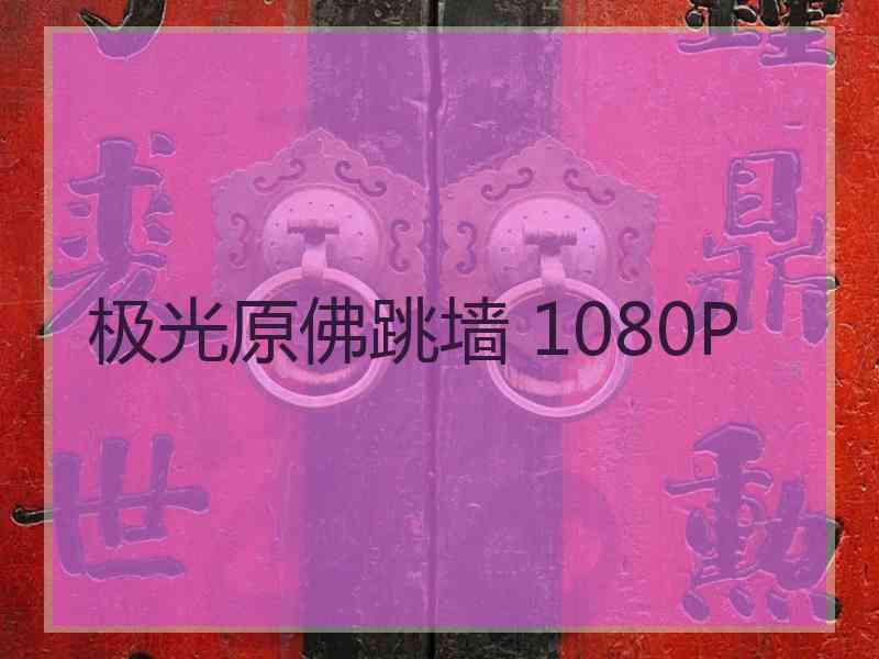 极光原佛跳墙 1080P