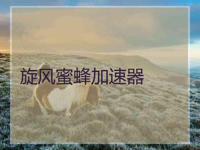 旋风蜜蜂加速器