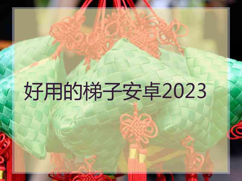 好用的梯子安卓2023