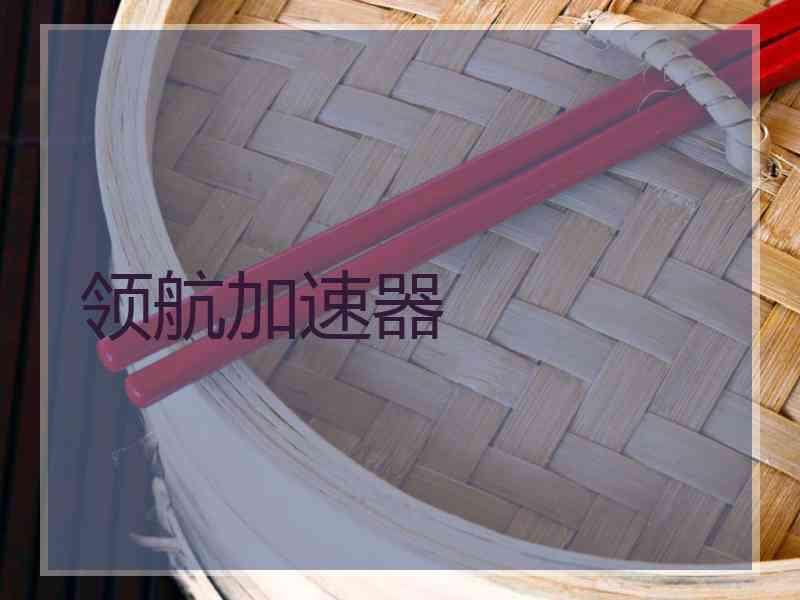 领航加速器