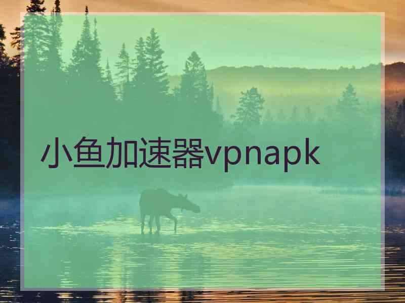小鱼加速器vpnapk