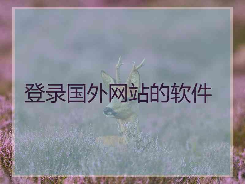 登录国外网站的软件