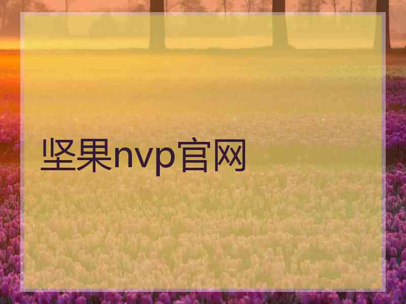 坚果nvp官网