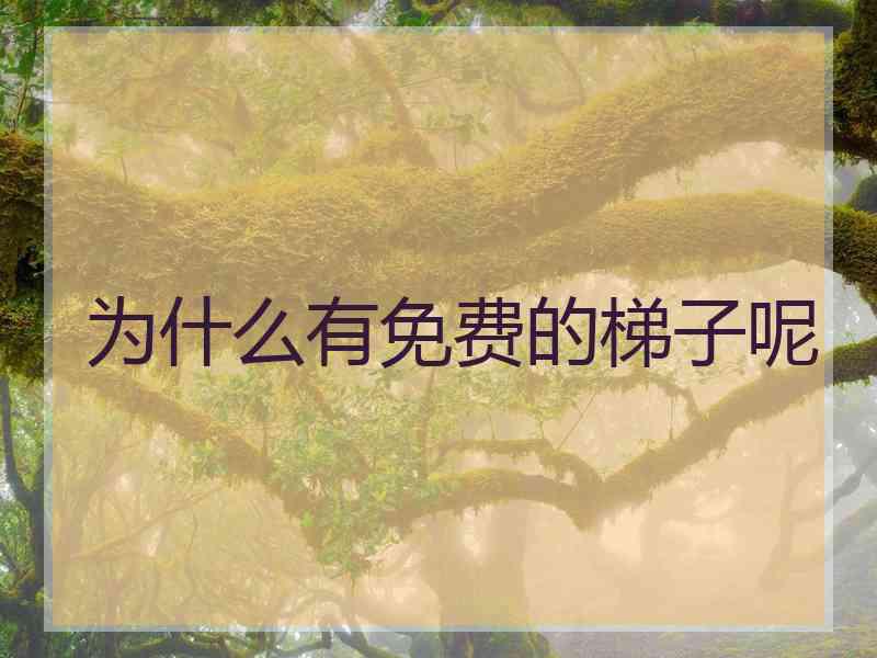 为什么有免费的梯子呢