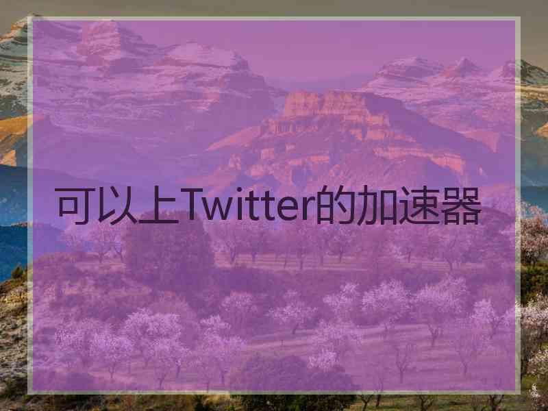 可以上Twitter的加速器