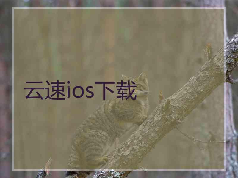 云速ios下载