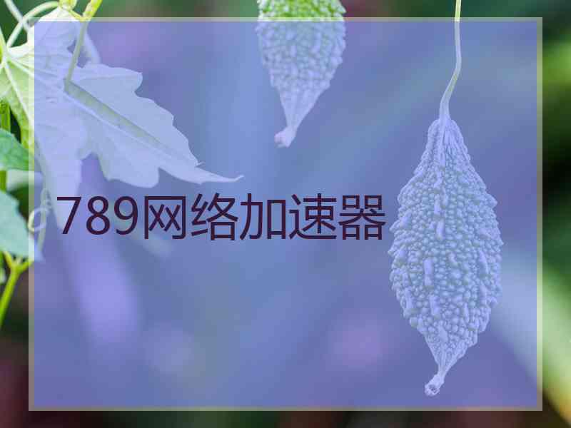 789网络加速器