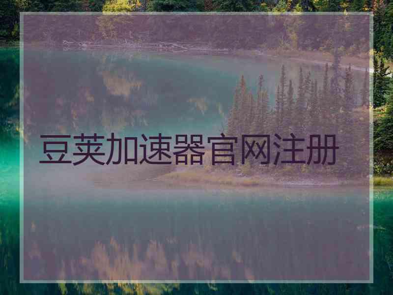 豆荚加速器官网注册