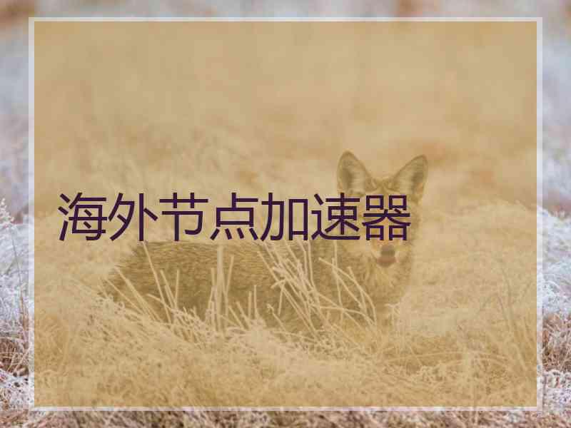 海外节点加速器