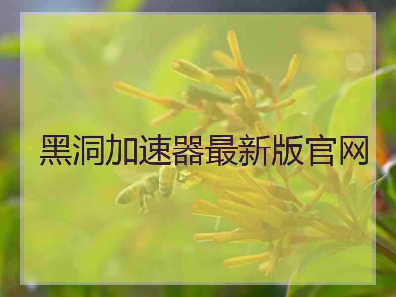 黑洞加速器最新版官网