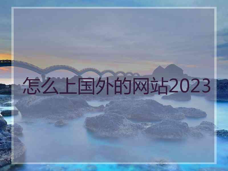 怎么上国外的网站2023