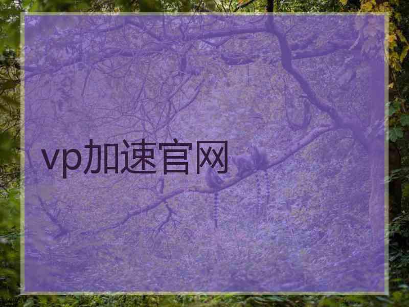 vp加速官网