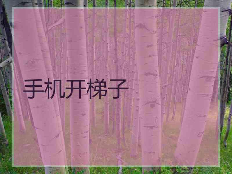 手机开梯子