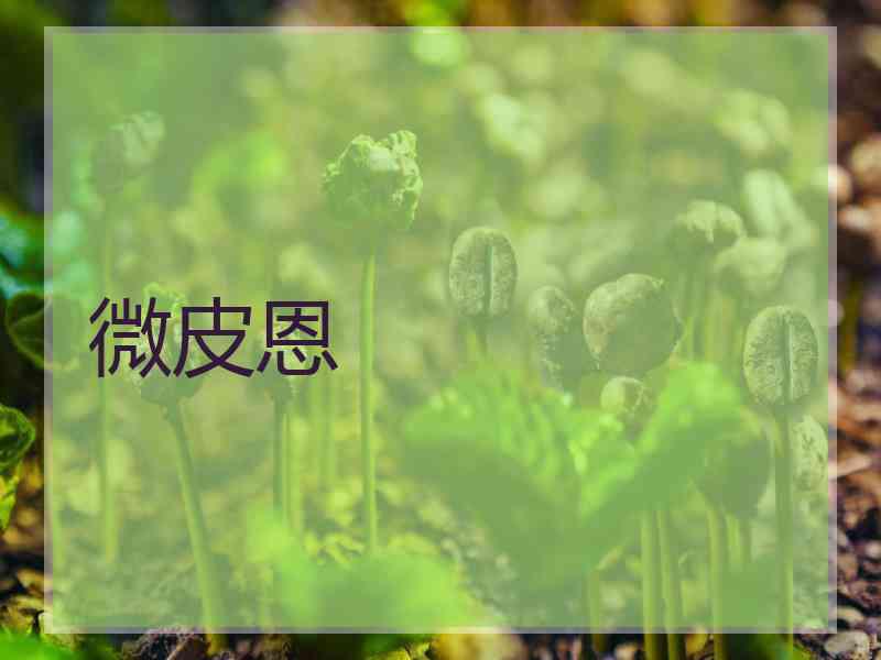 微皮恩