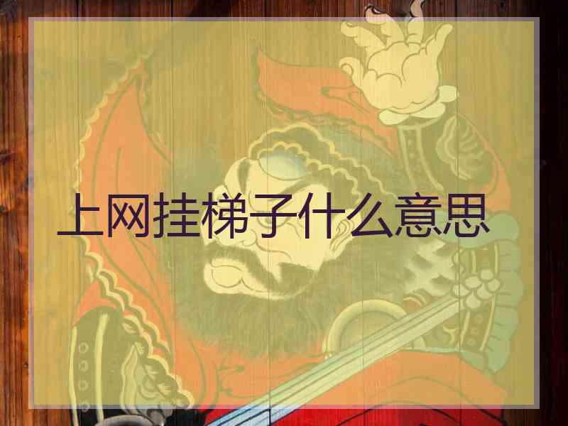 上网挂梯子什么意思