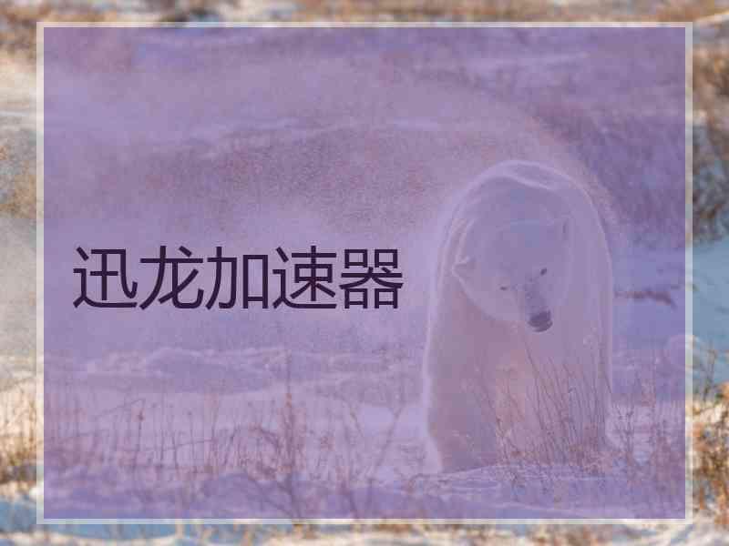 迅龙加速器