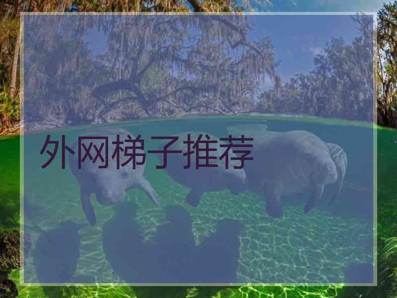 外网梯子推荐